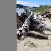 Review photo of Port of Siuslaw Campground & Marina by Angelina R., July 10, 2026