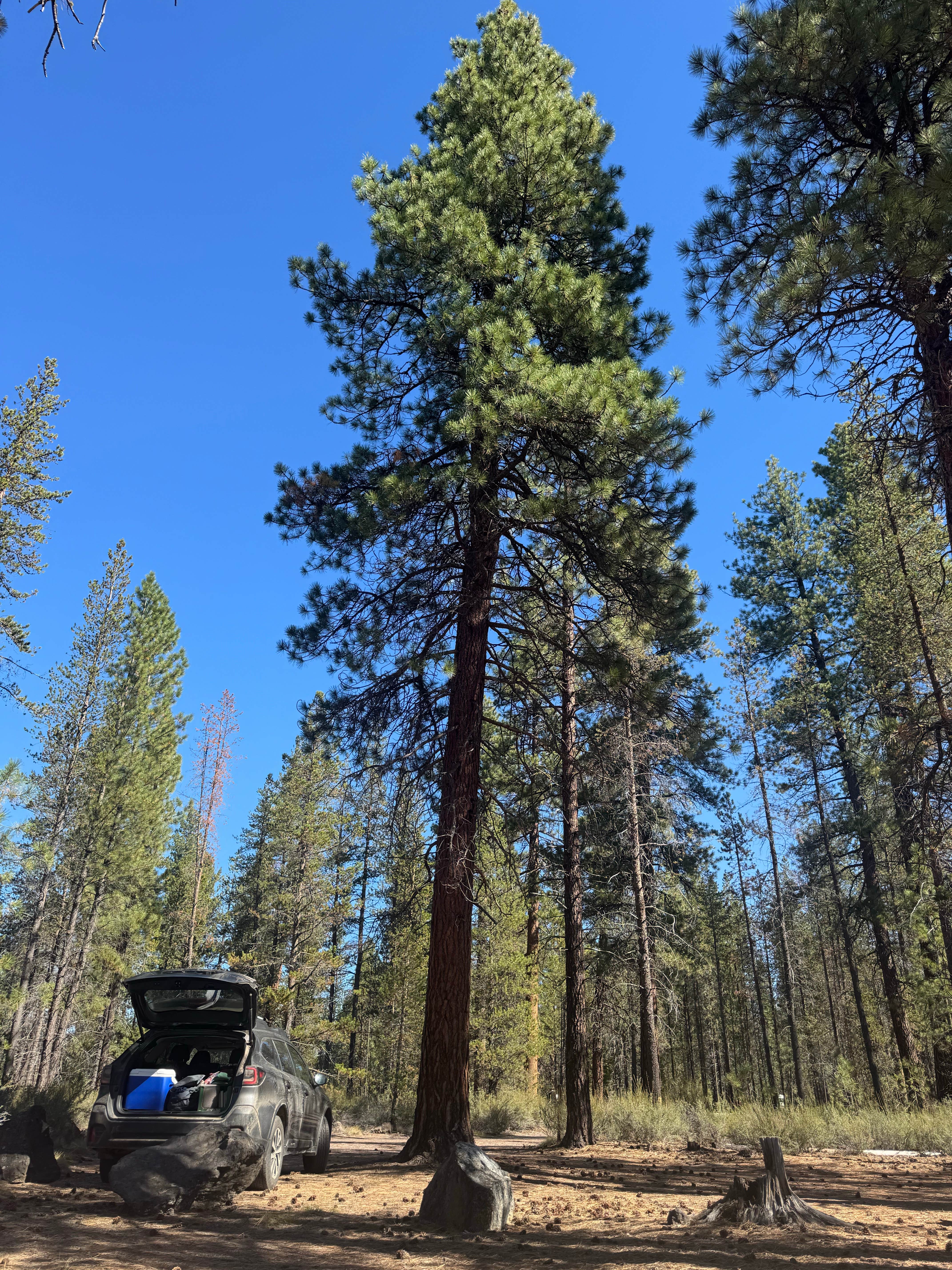 Camper submitted image from Prairie Campground - 5