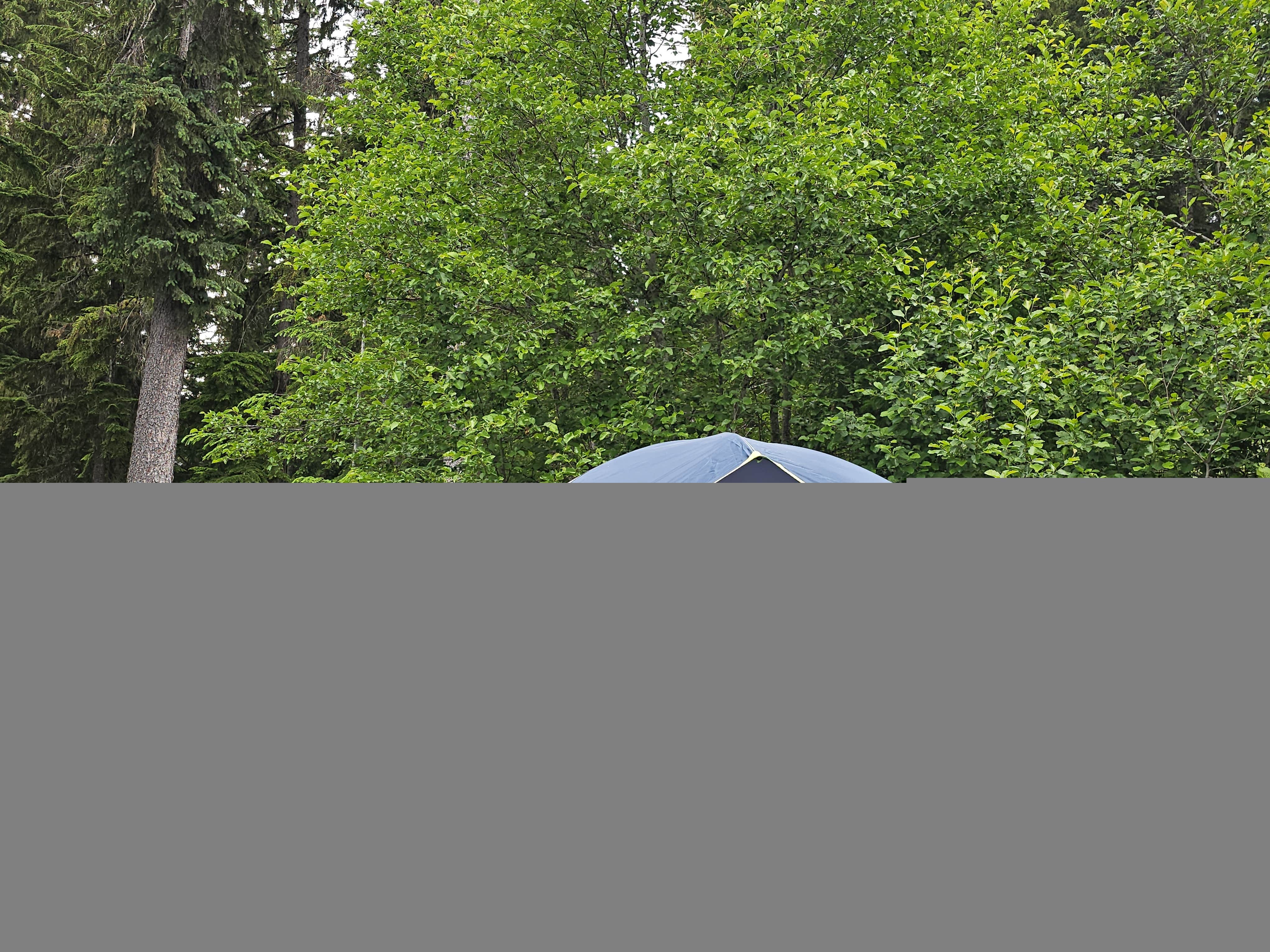 Jeanette J.'s photo at Princess Creek Campground near Crescent, OR