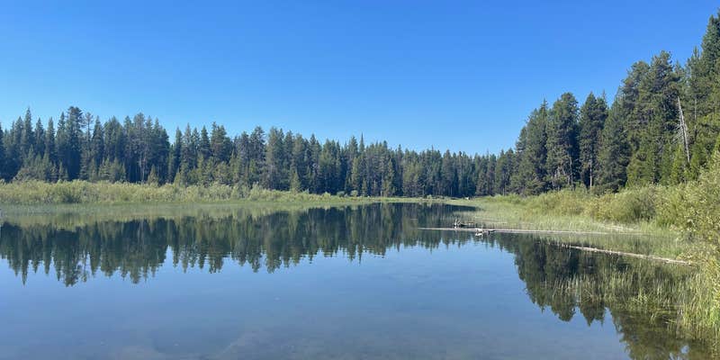 Camper submitted image from Quinn River