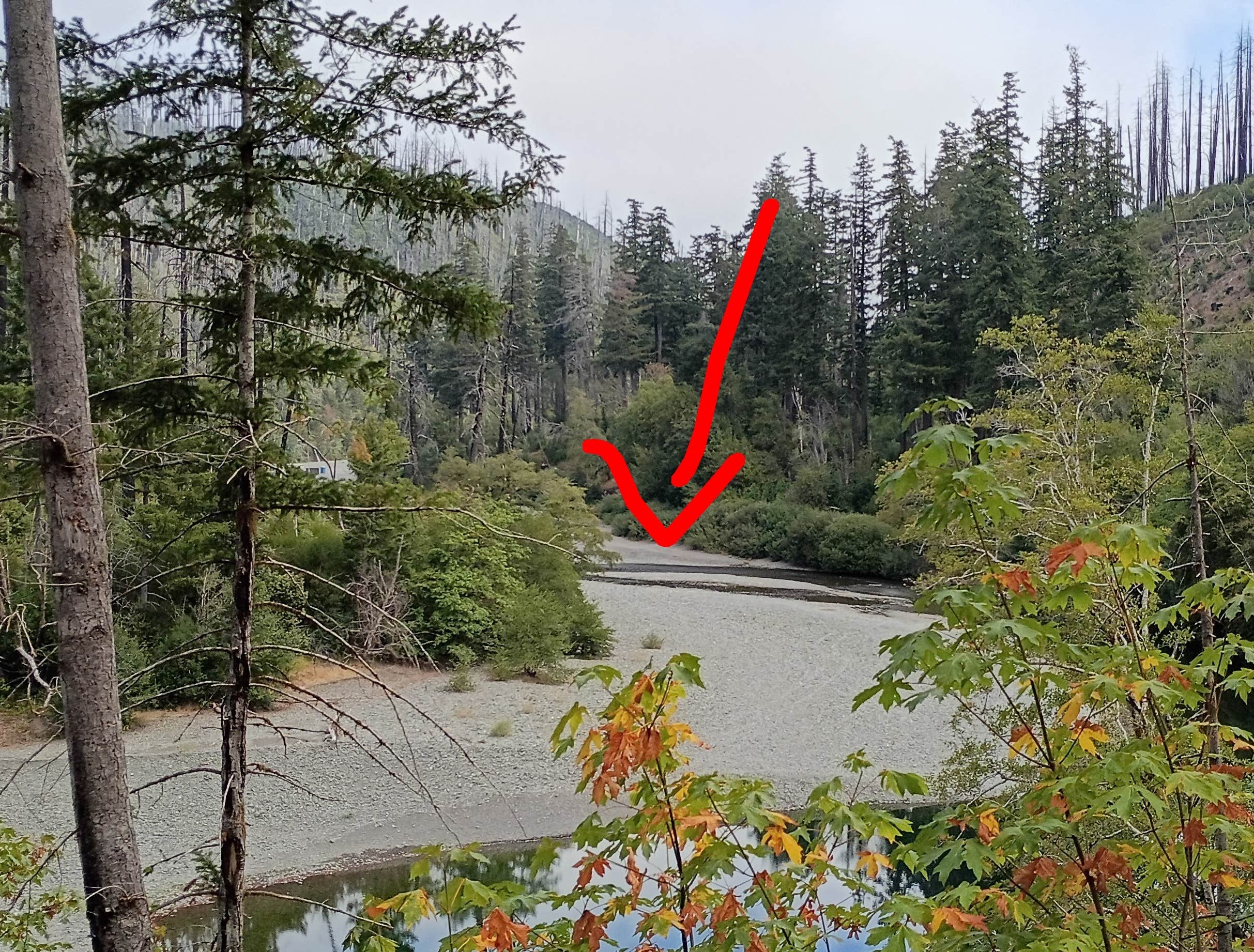 Redwood Bar Dispersed Camping