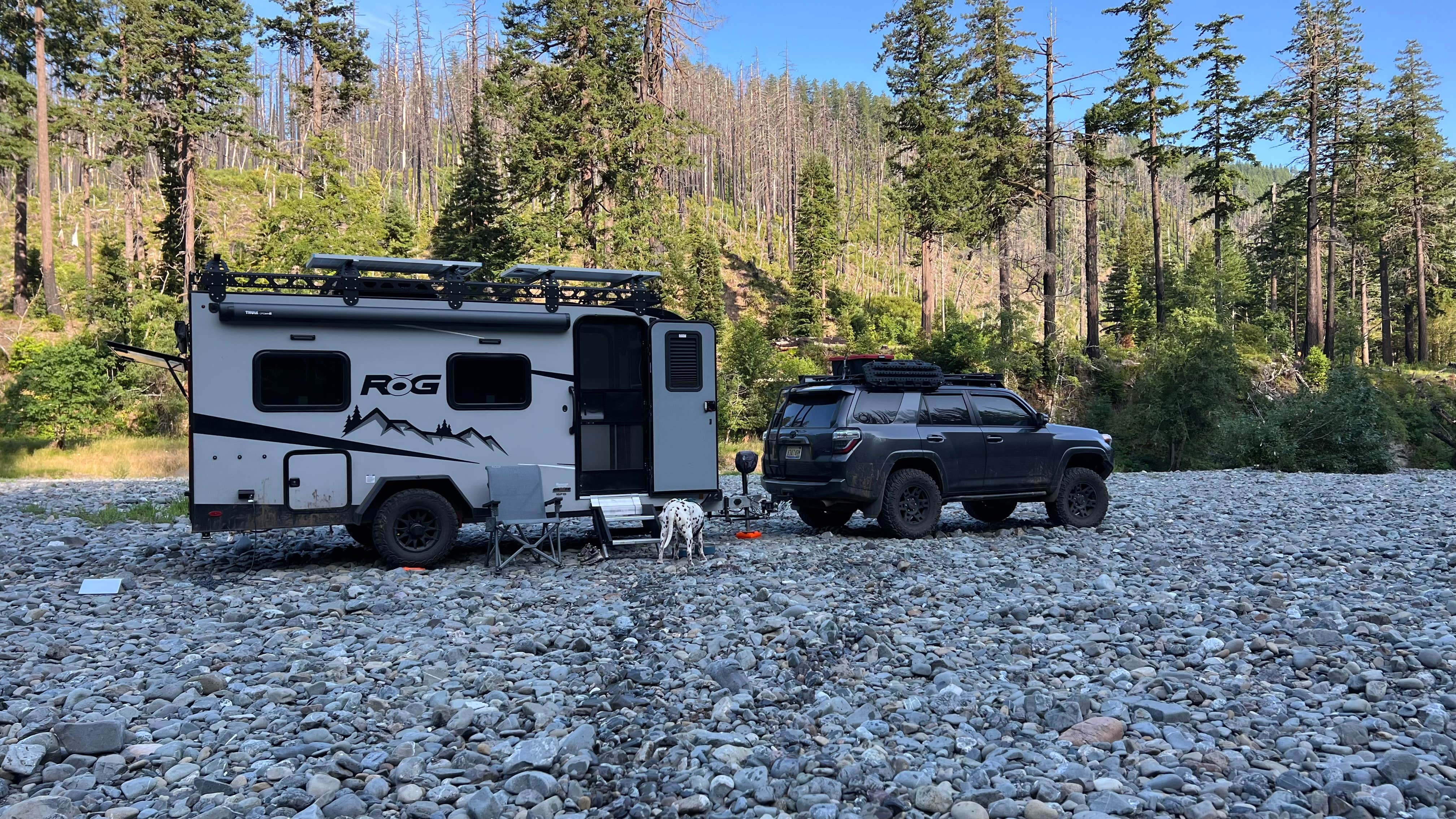 Jules S.'s photo of camping with pets at Redwood Bar Dispersed Camping near Smith River, CA