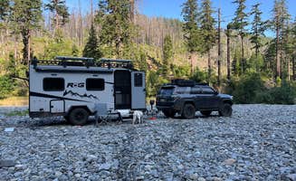 Jules S.'s photo of camping with pets at Redwood Bar Dispersed Camping near Brookings, OR