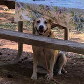 Review photo of Richardson Park & Campground - A Lane County Park by Jessie Z., July 31, 2026