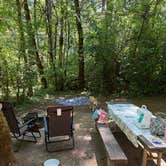 Review photo of Richardson Park & Campground - A Lane County Park by Jessie Z., July 31, 2026