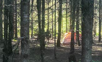 Valerie H.'s photo at River Bend County Park near Foster Lake