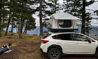 Andrew S.'s photo of tent camping at Saddle Creek Campground near Wallowa Whitman National Forest
