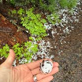Review photo of Shadow Bay by Renae W., July 8, 2026