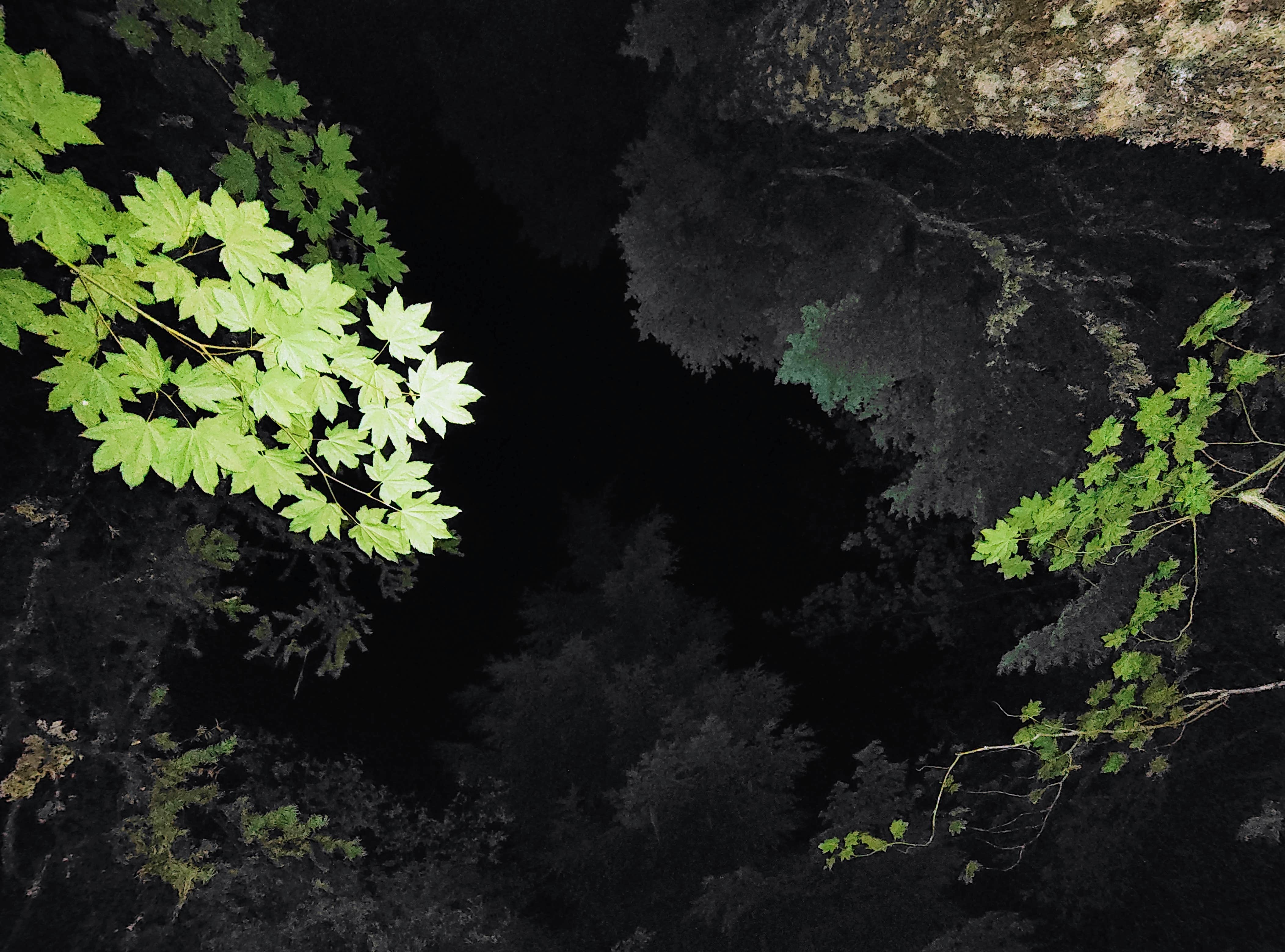 Camping near Hideaway Lake Campground - Mt. Hood National Forest: Shellrock Creek, Mt. Hood National Forest, Oregon