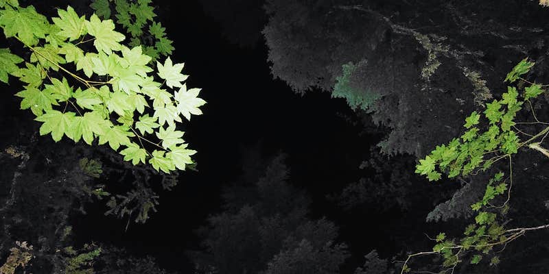 Camper submitted image from Shellrock Creek