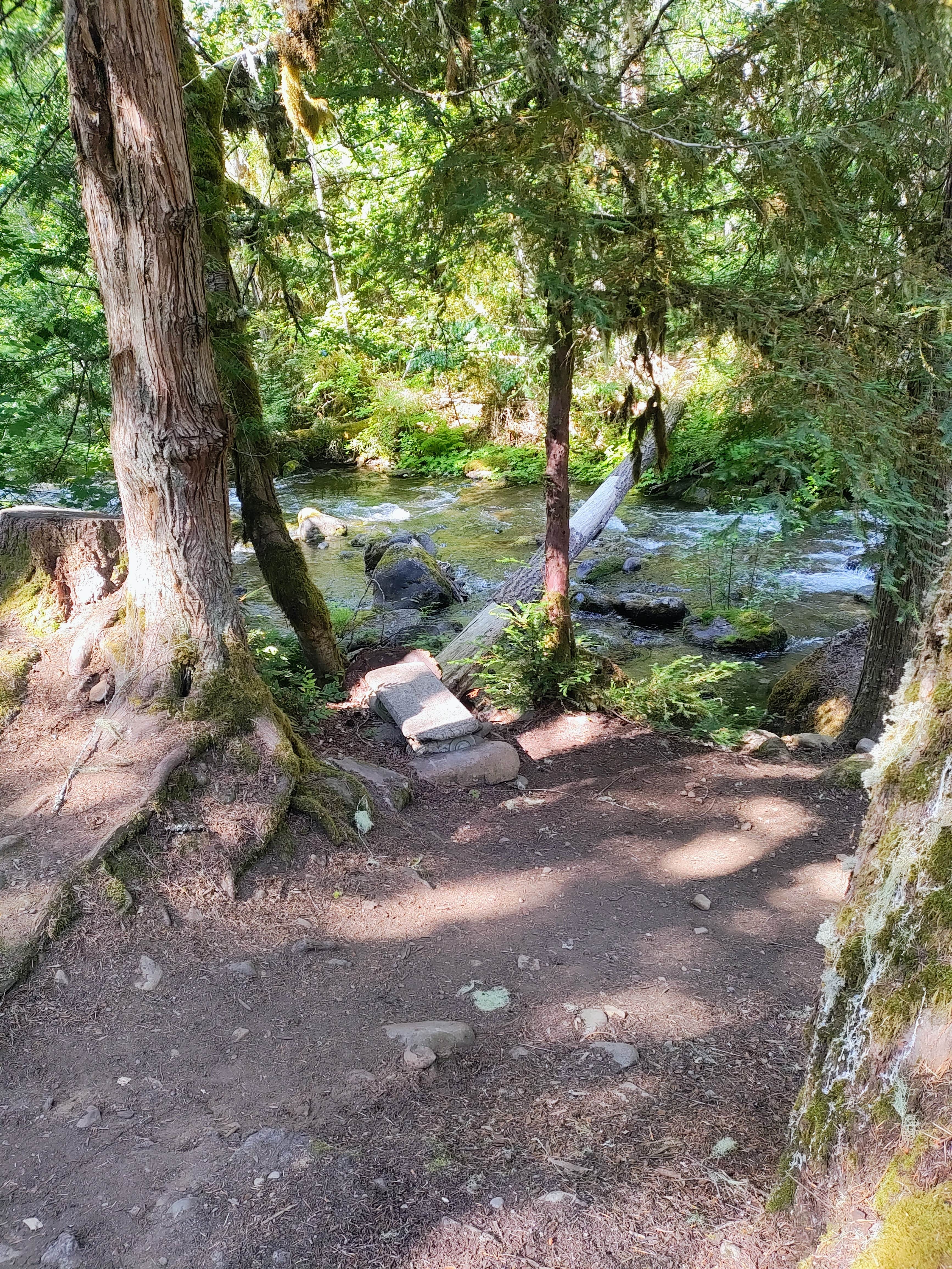 Camper-submitted photo at Shellrock Creek near Estacada, OR