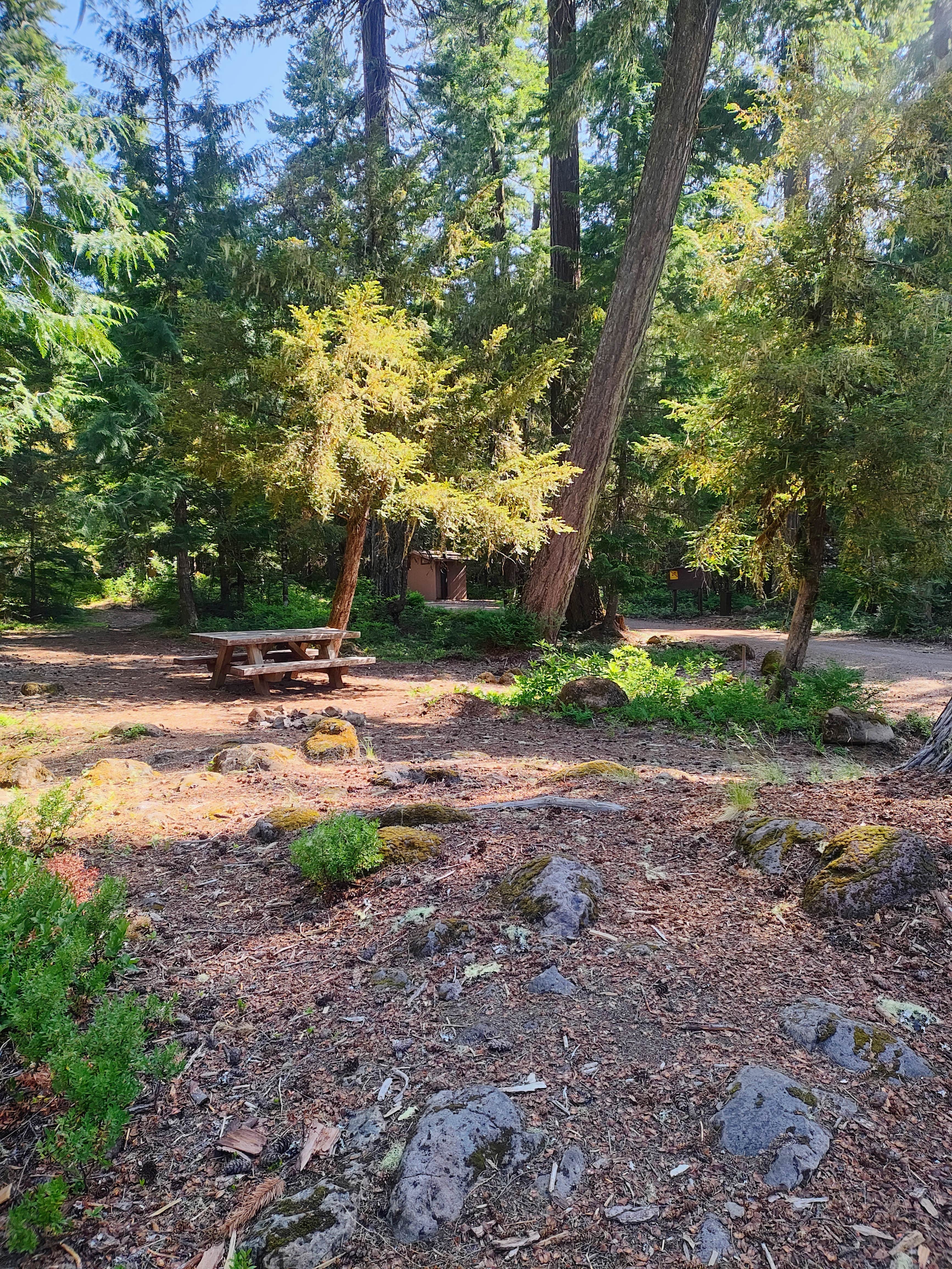 Camper-submitted photo at Shellrock Creek near Estacada, OR