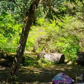 Review photo of Shellrock Creek by kathaleen , July 20, 2025