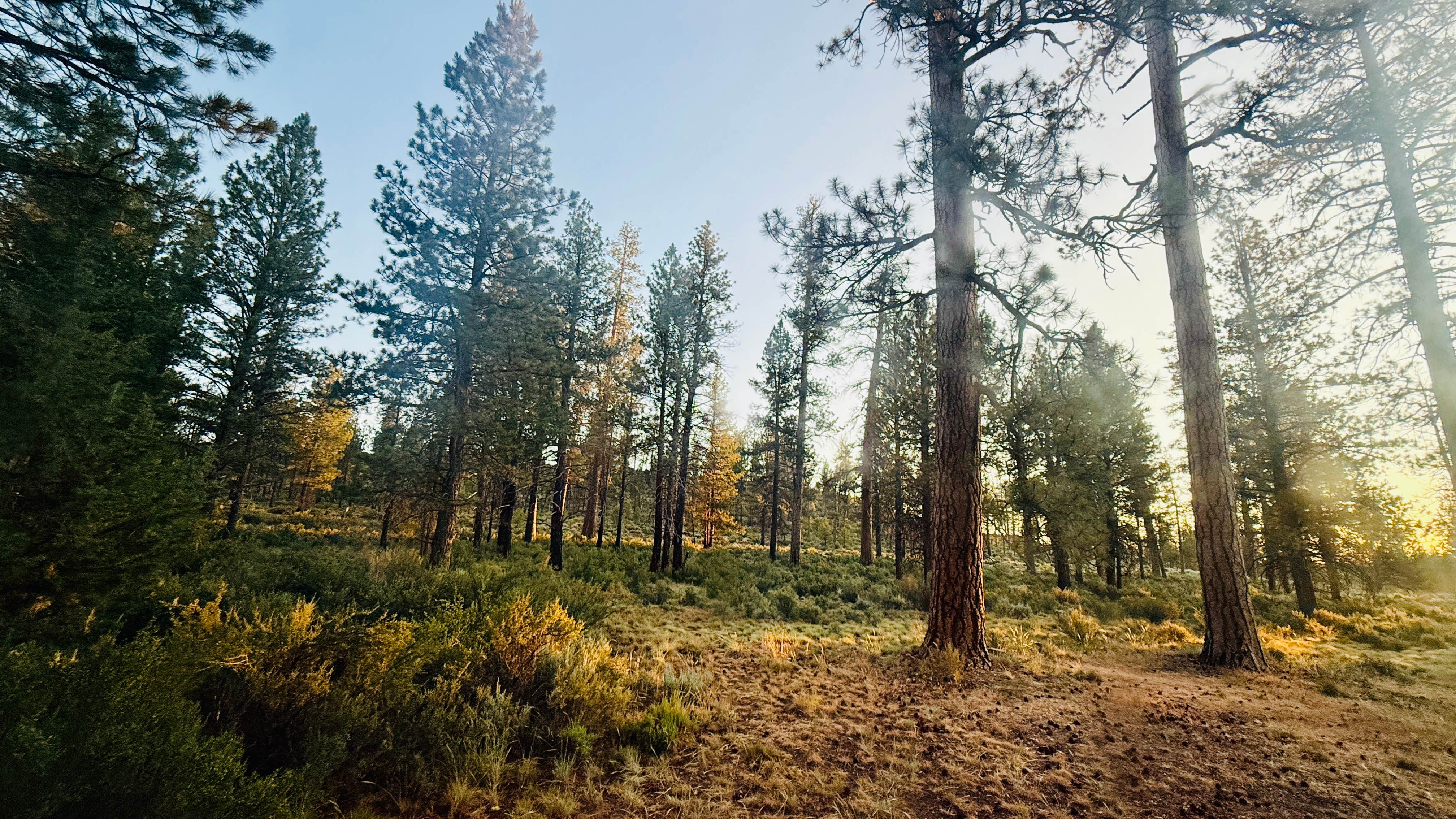 Camper-submitted photo at Silver Creek Marsh near Summer Lake, OR