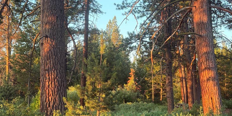 Camper submitted image from Silver Creek Marsh