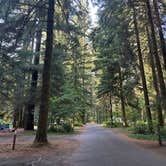 Review photo of Silver Falls State Park by Kennedy F., July 15, 2024