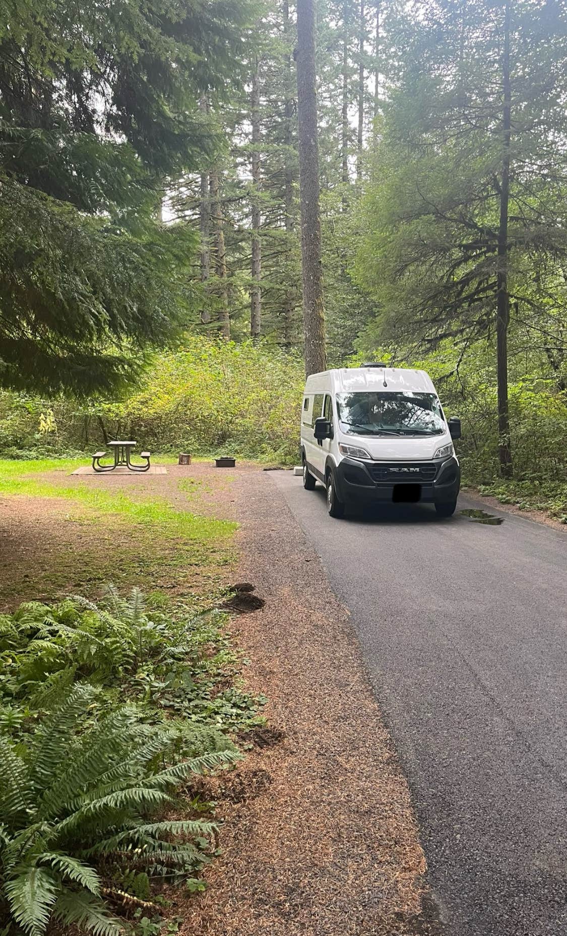 Vinny A.'s photo of rv camping at Silver Falls State Park Campground near Lyons, OR