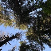 Review photo of Silver Falls State Park Campground by Rachel A., August 10, 2025