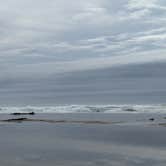 Review photo of South Beach State Park Campground by Jake M., September 15, 2025