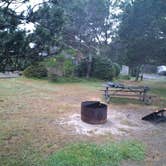 Review photo of South Beach State Park Campground by Philip J., June 13, 2024