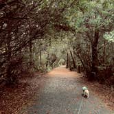 Review photo of South Beach State Park Campground by Jennifer A., October 7, 2023