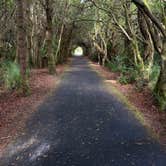 Review photo of South Beach State Park Campground by Marcus H., August 24, 2026