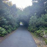 Review photo of South Beach State Park Campground by mitzi M., June 15, 2026