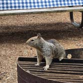 Review photo of South Beach State Park Campground by Kellie T., July 27, 2025