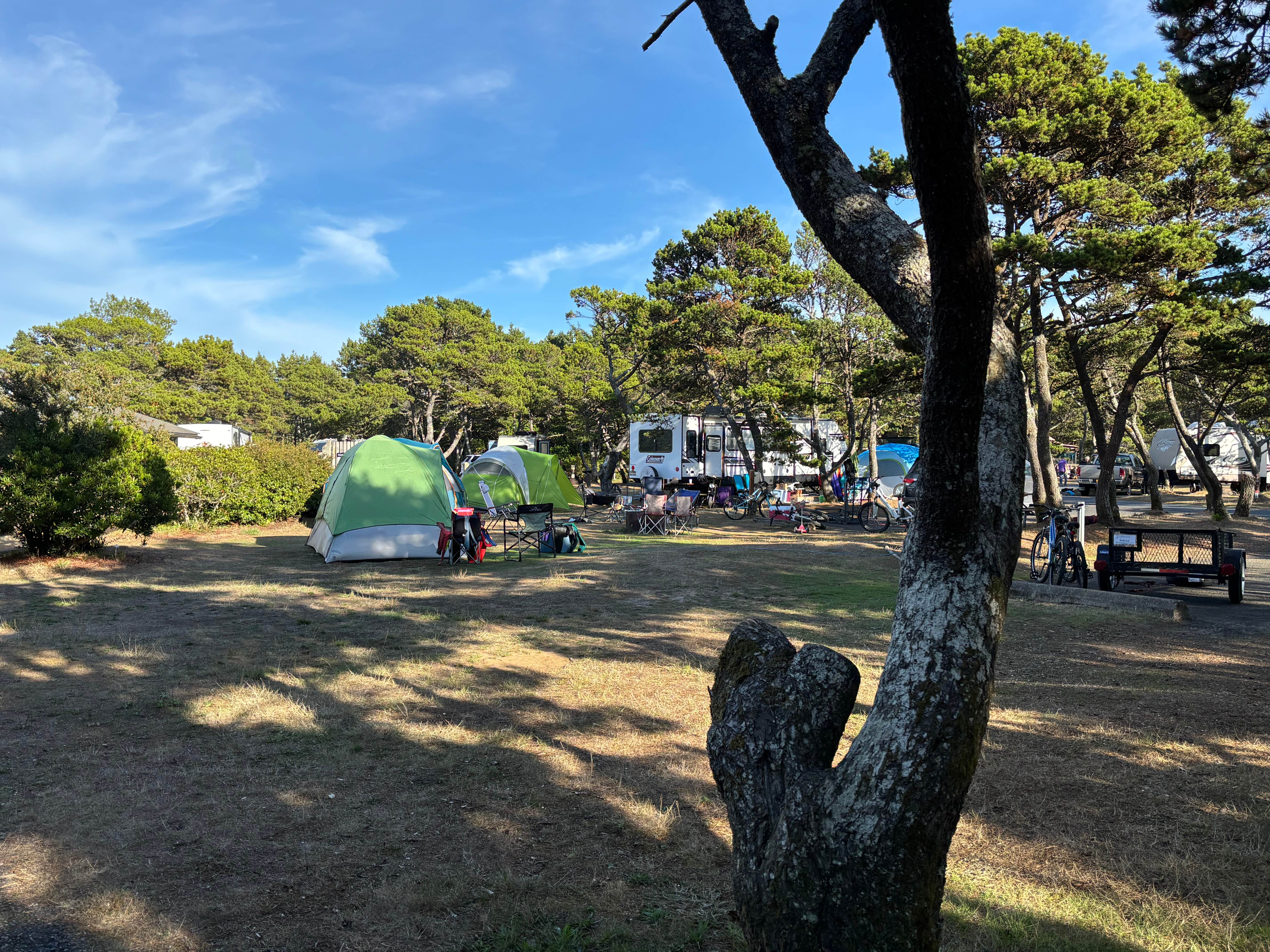 Jen F.'s photo at South Beach State Park Campground near Depoe Bay, OR