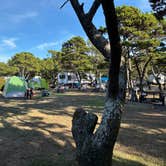 Review photo of South Beach State Park Campground by Jen F., September 24, 2024