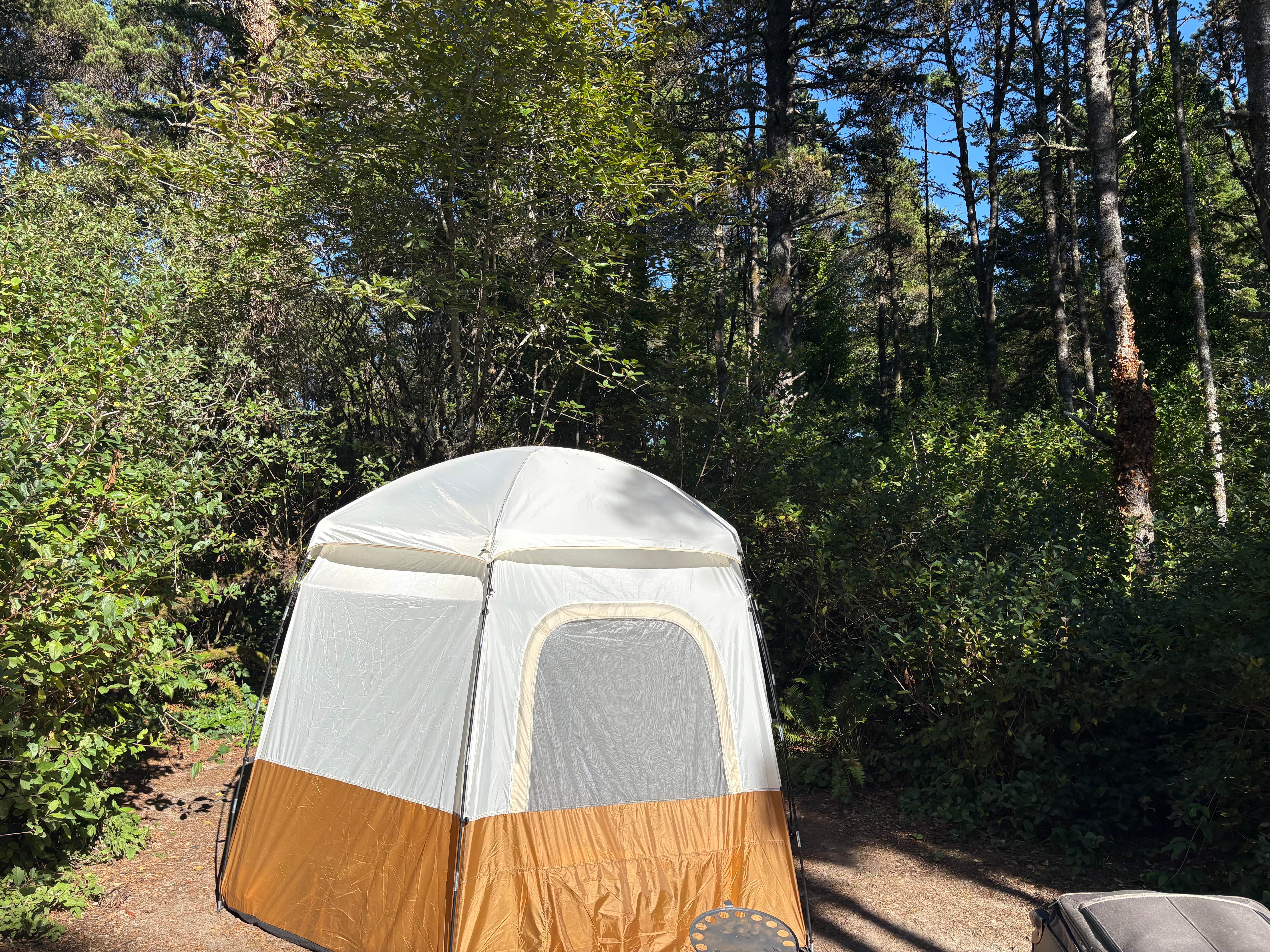 Jake M.'s photo at South Beach State Park Campground near Toledo, OR