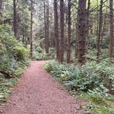 Review photo of South Beach State Park Campground by Jake M., September 15, 2025