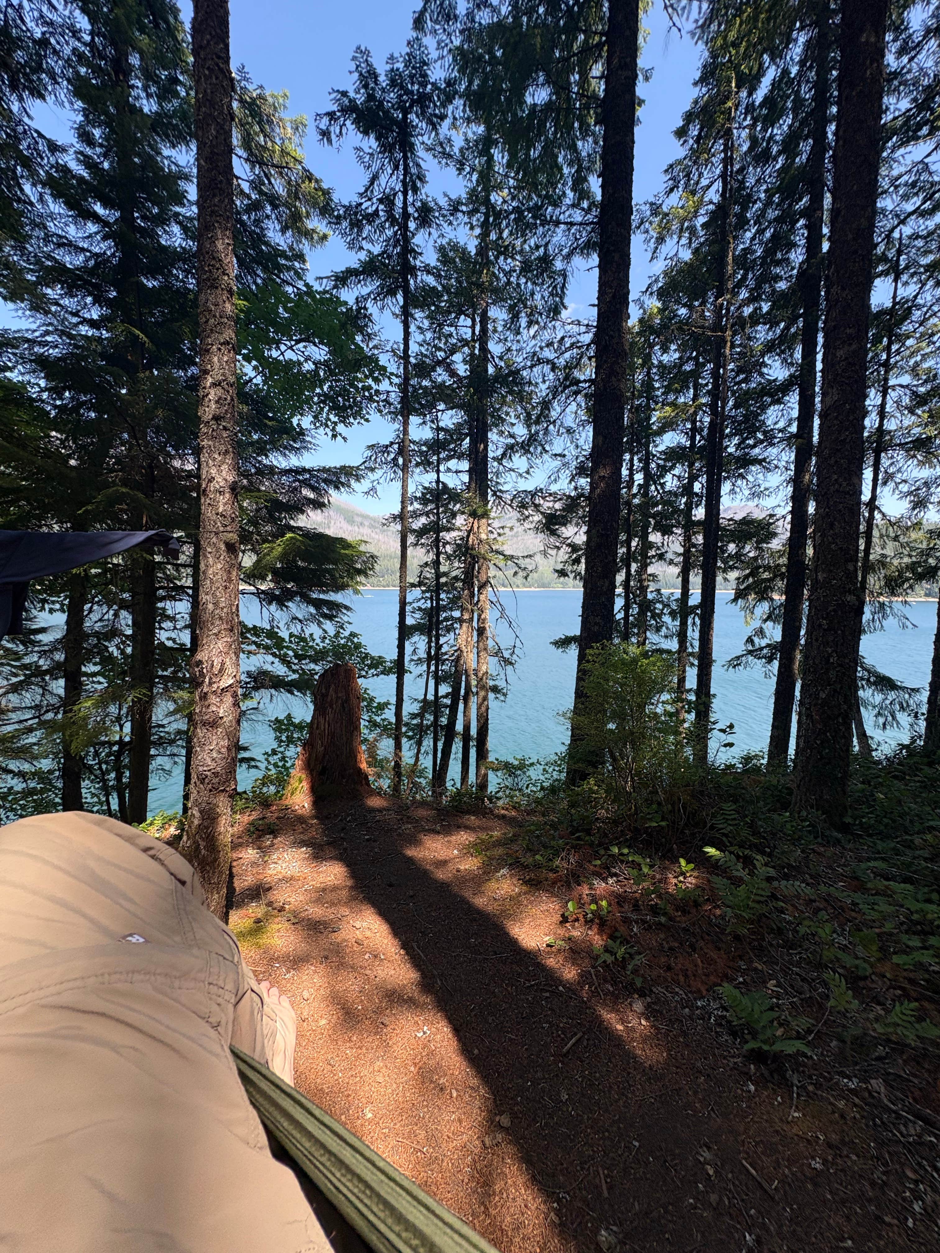 Nick J.'s photo at Southshore At Detroit Lake near Gates, OR