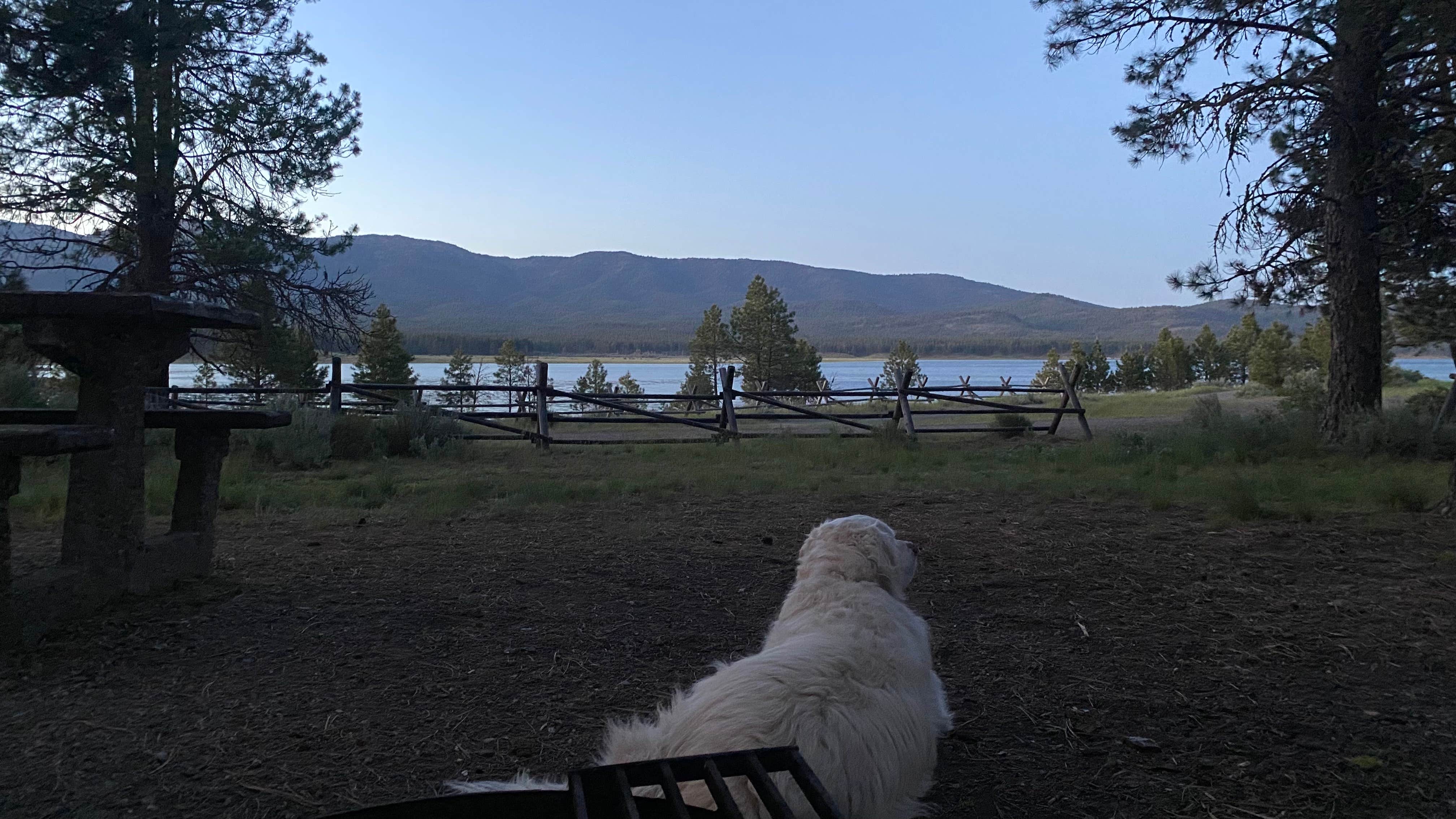 Camper-submitted photo at Southwest Shore Campground near Unity, OR