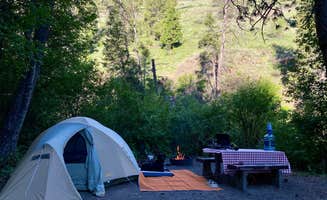 Kathleen H.'s photo of camping with pets at Spool Cart Campground near La Grande, OR