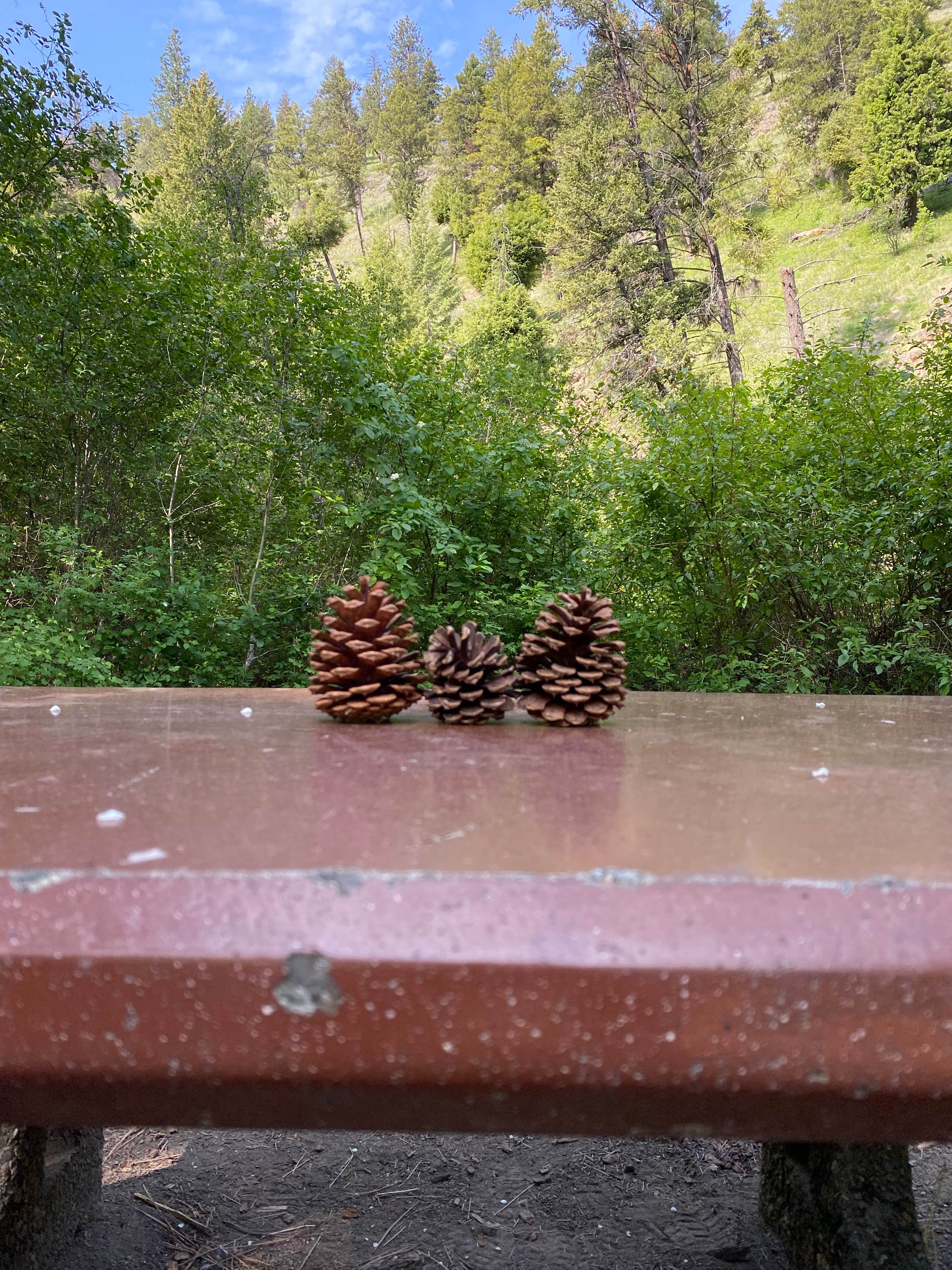 Camper-submitted photo at Spool Cart Campground near Cove, OR
