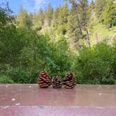 Review photo of Spool Cart Campground by Kathleen H., June 2, 2025