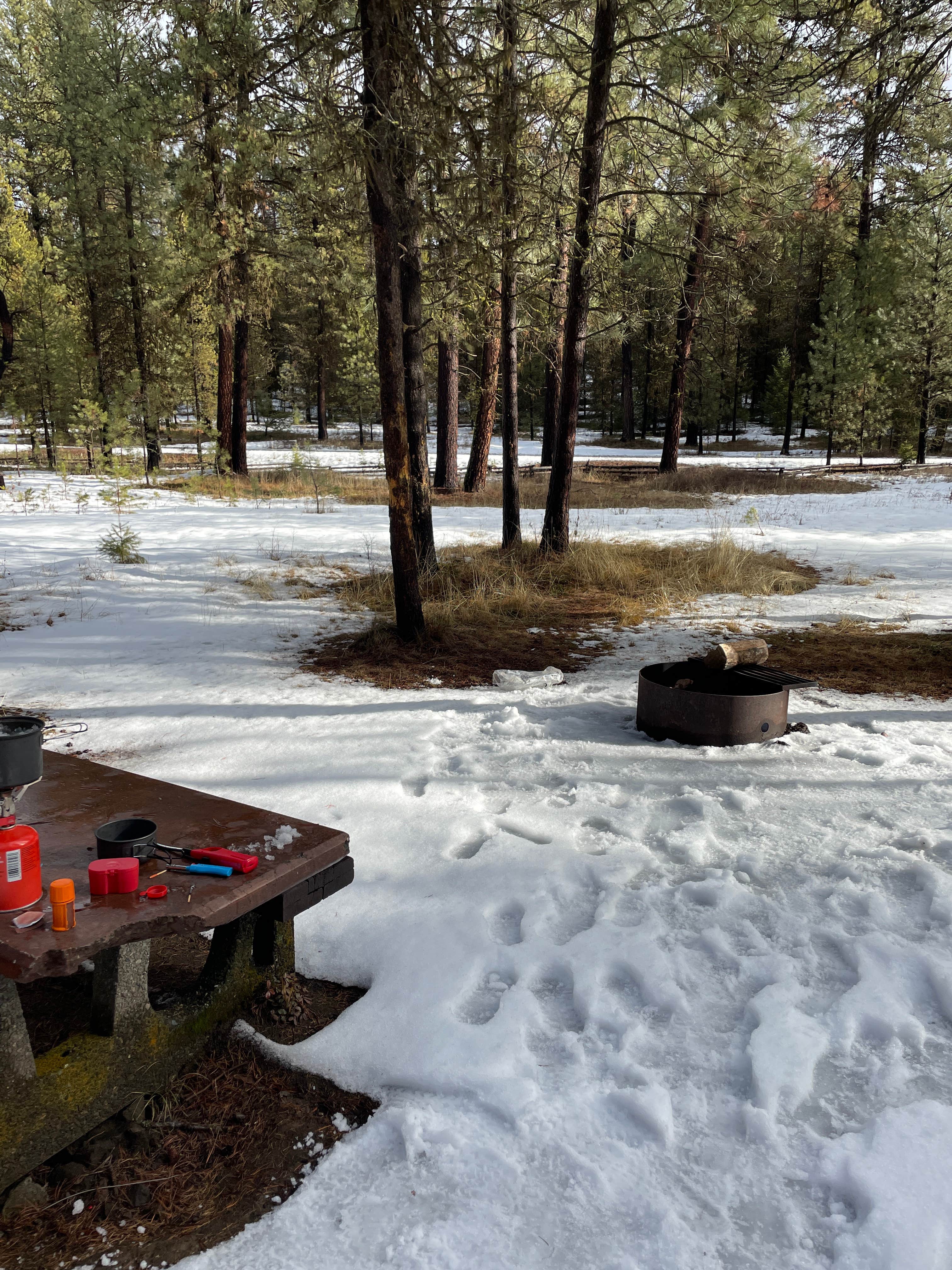 Camper-submitted photo at Spring Creek Campground near Meacham, OR