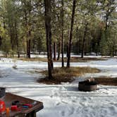 Review photo of Spring Creek Campground by Jacob D., January 7, 2025