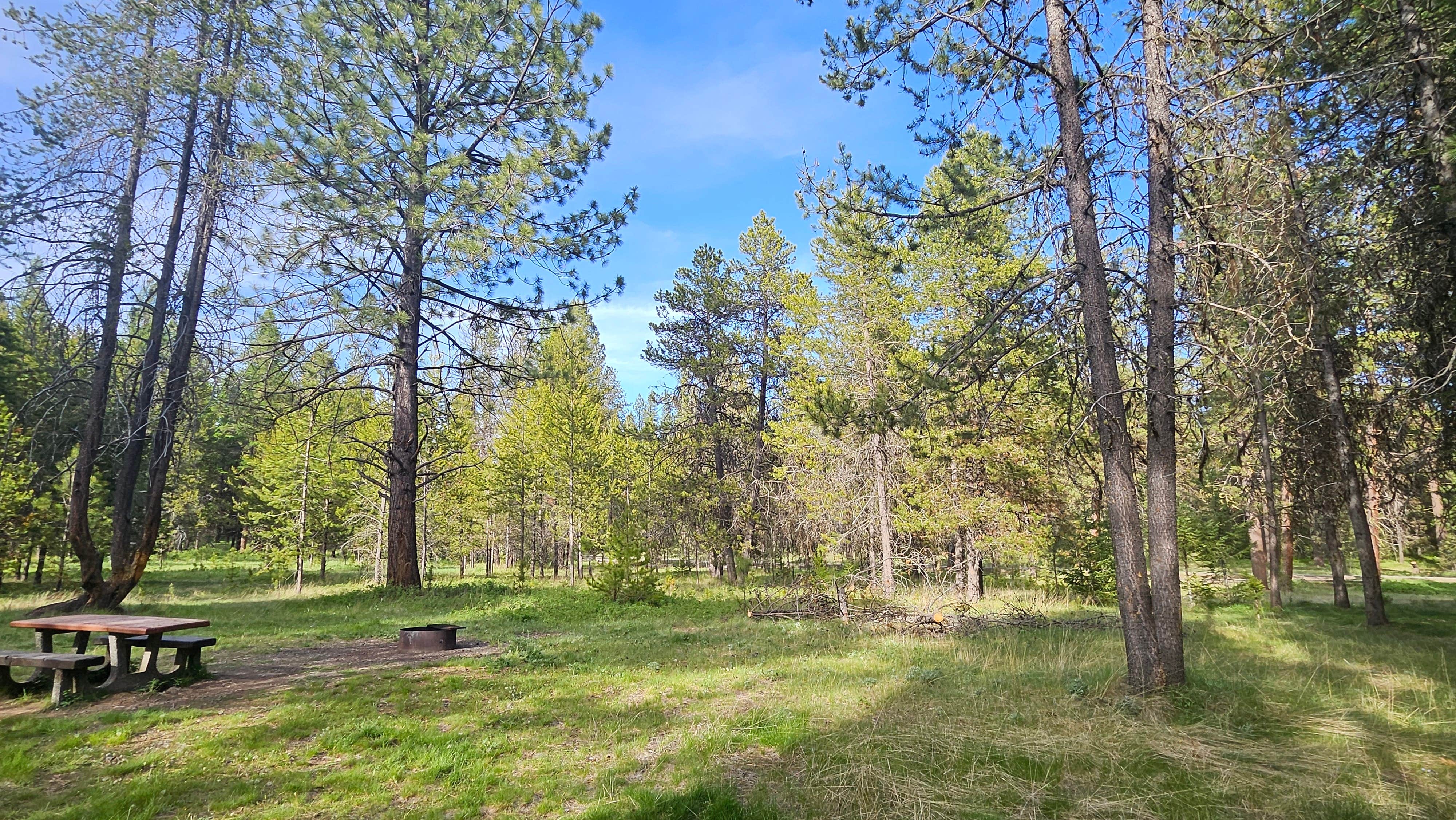 Camper-submitted photo at Spring Creek Campground near Meacham, OR