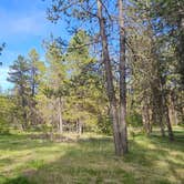 Review photo of Spring Creek Campground by Kevin C., May 27, 2025