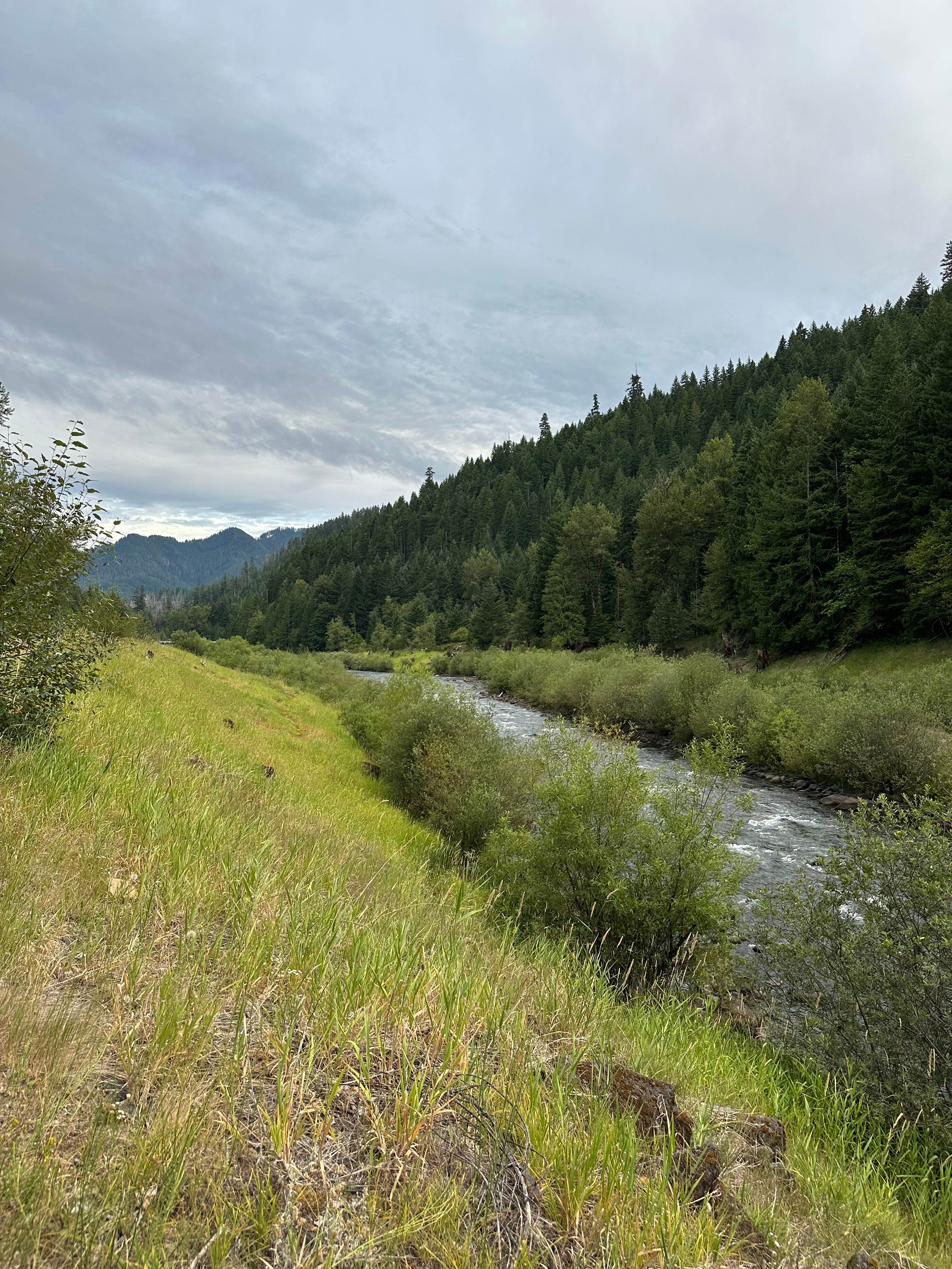 Camper submitted image from Sunnyside Campground - 5