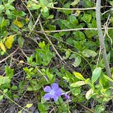 Review photo of Sunnyside Park by mark F., April 7, 2026