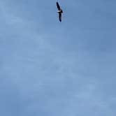 Review photo of Sunnyside Park by mark F., April 7, 2026