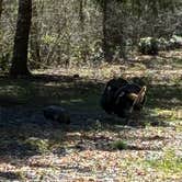 Review photo of Sunnyside Park by mark F., April 7, 2026