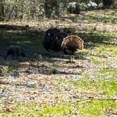Review photo of Sunnyside Park by mark F., April 7, 2026