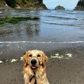 Review photo of Sunset Bay State Park Campground by Jennifer C., May 2, 2026