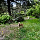 Review photo of Sunset Bay State Park Campground by Jennifer C., May 2, 2026