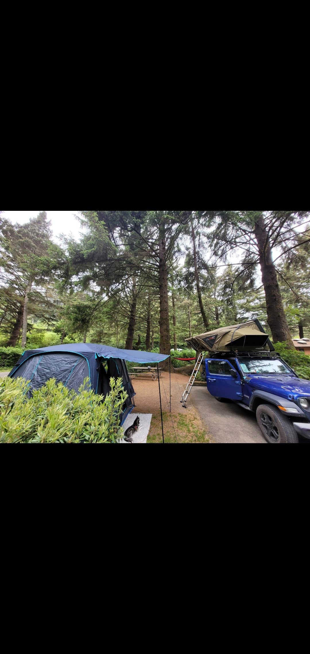 Katie P.'s photo at Sunset Bay State Park Campground near Bandon, OR