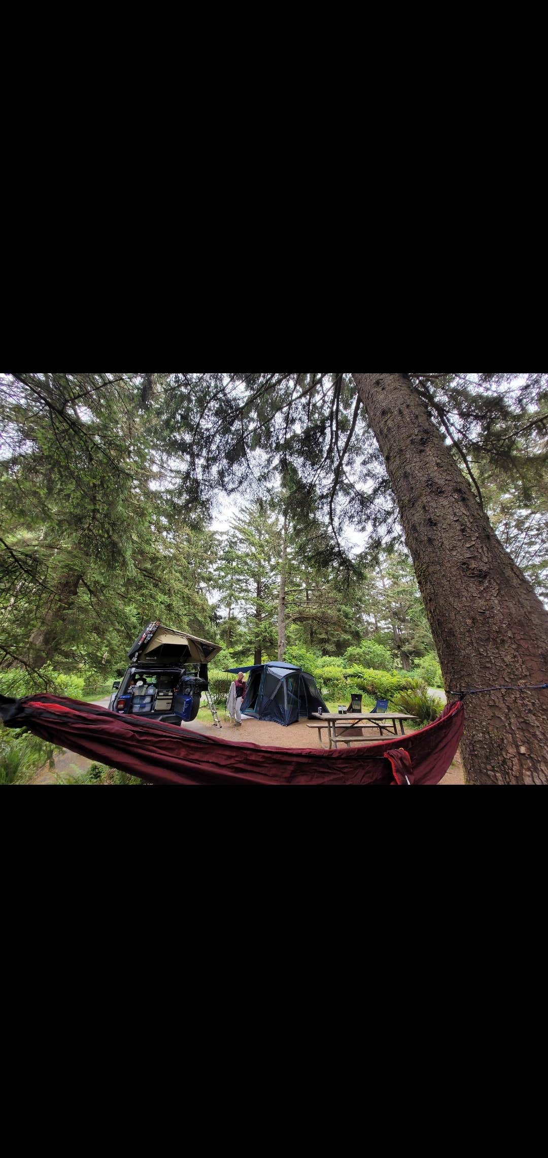 Katie P.'s photo at Sunset Bay State Park Campground near Bandon, OR